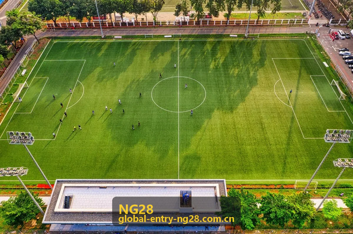NG28 赛事数据历史积分变化封面